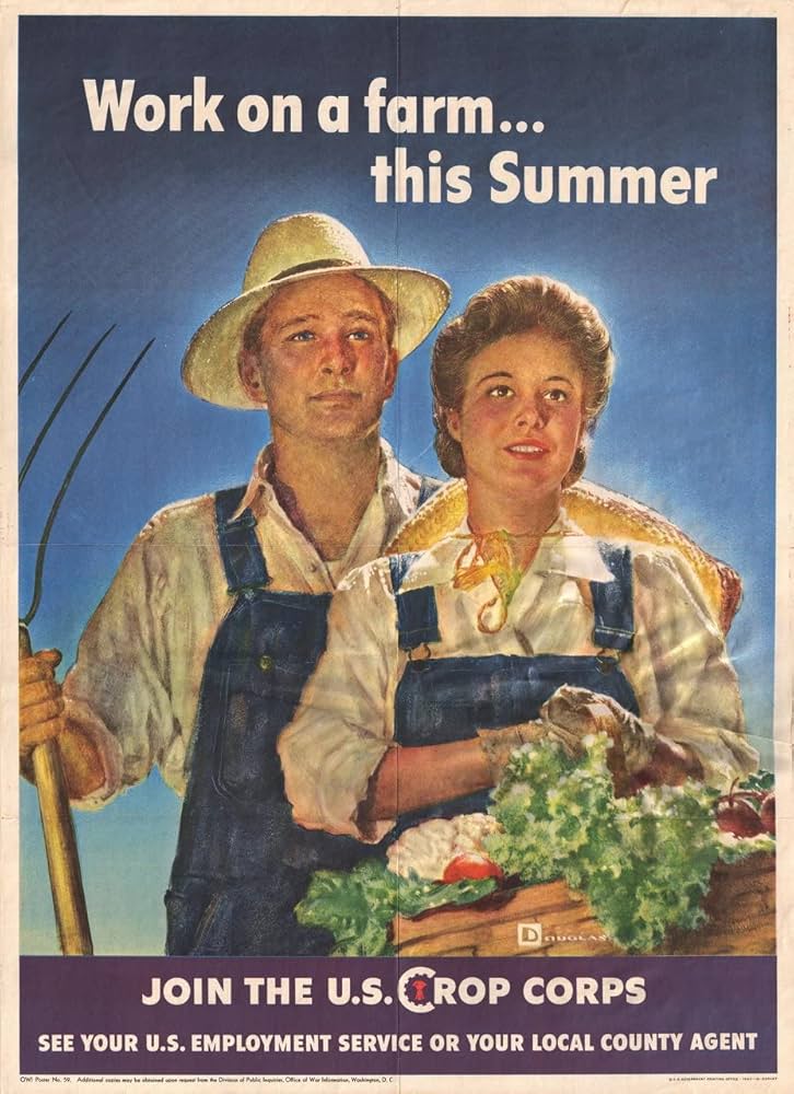ポスター YoU Amazon.co.jp: World War Poster work on farm z8993 MAXI